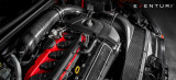 Eventuri Karbonové sportovní sání pro AUDI RS3 8V 2,5 TFSI 